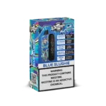 Champs-Vape-Blue-Slushie-15000-10000-Puffs-Dual-Coil.webp
