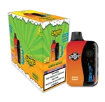mexico mango