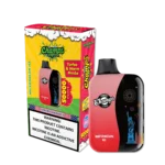Watermelon Ice Flavor | 50000 Puffs Disposable Vape